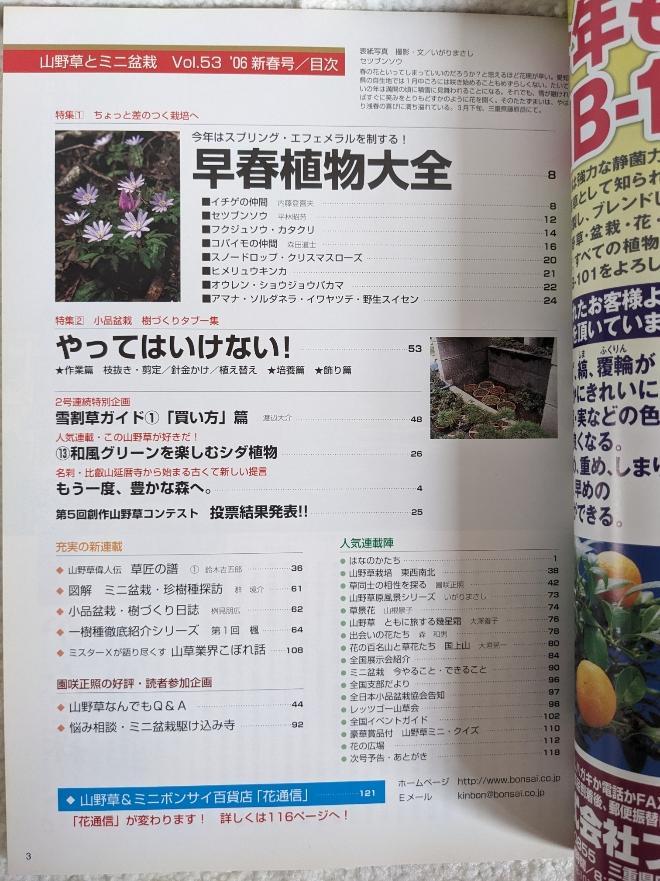 Wild Grasses and Miniature Potted Plants New Year's Issue 2006