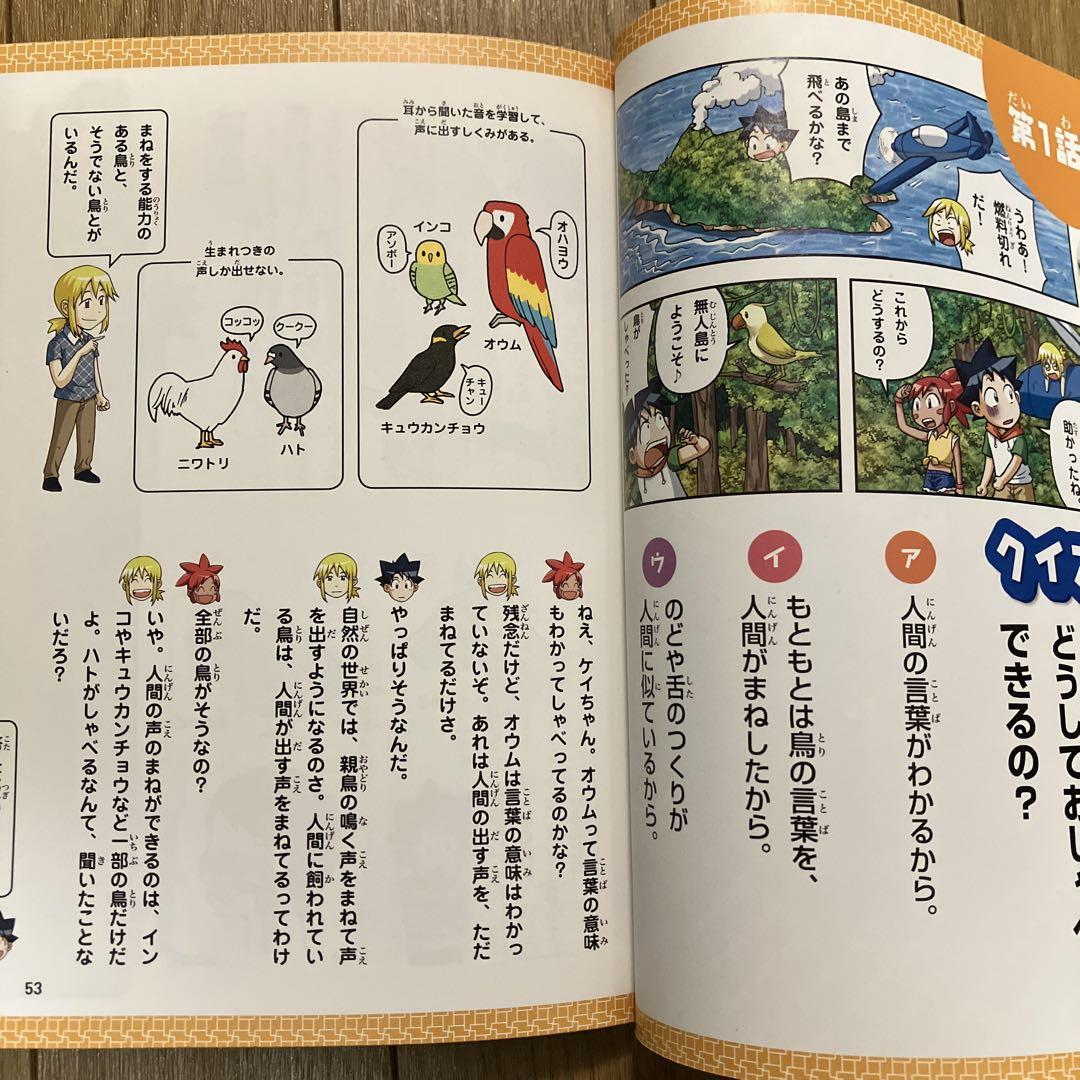 5-Minute Survival for 4th Graders