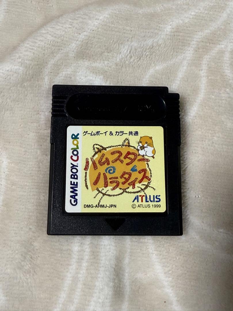 Pasta Paradise Game Boy Color