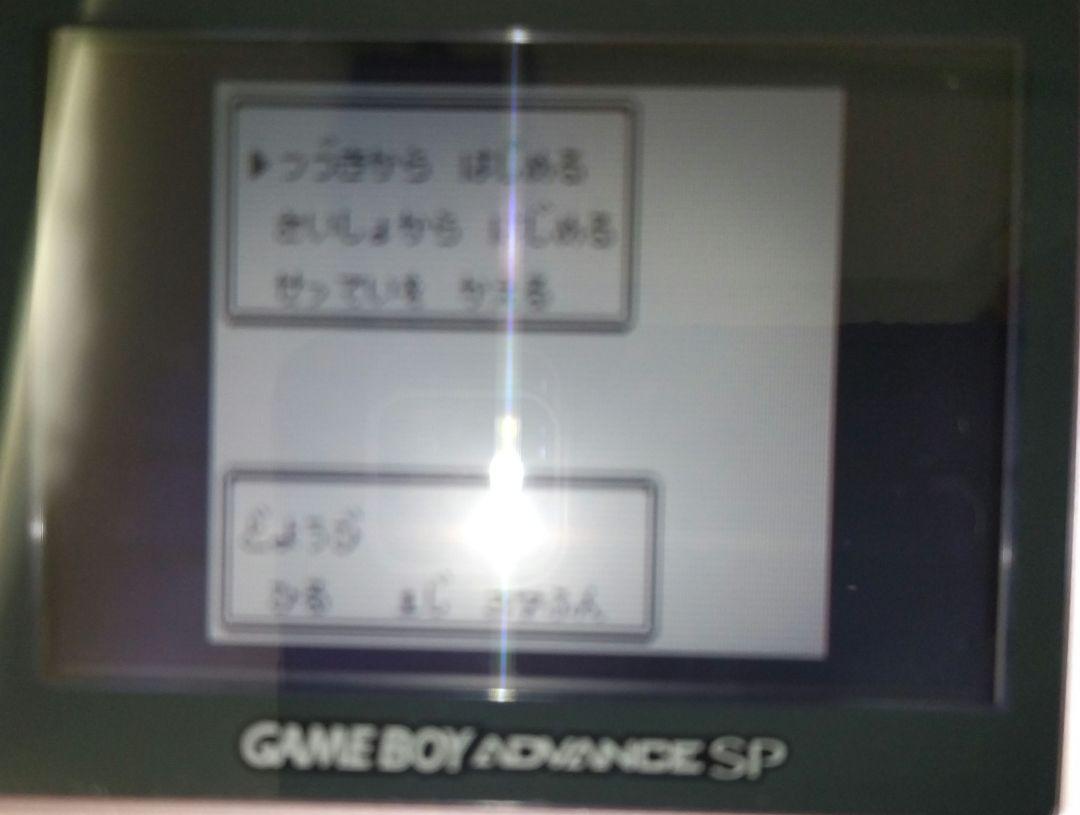 Maintenance Item Pokémon Gold