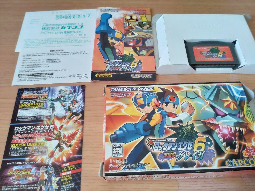 Mega Man Battle Network 6: Cybeast Falzar