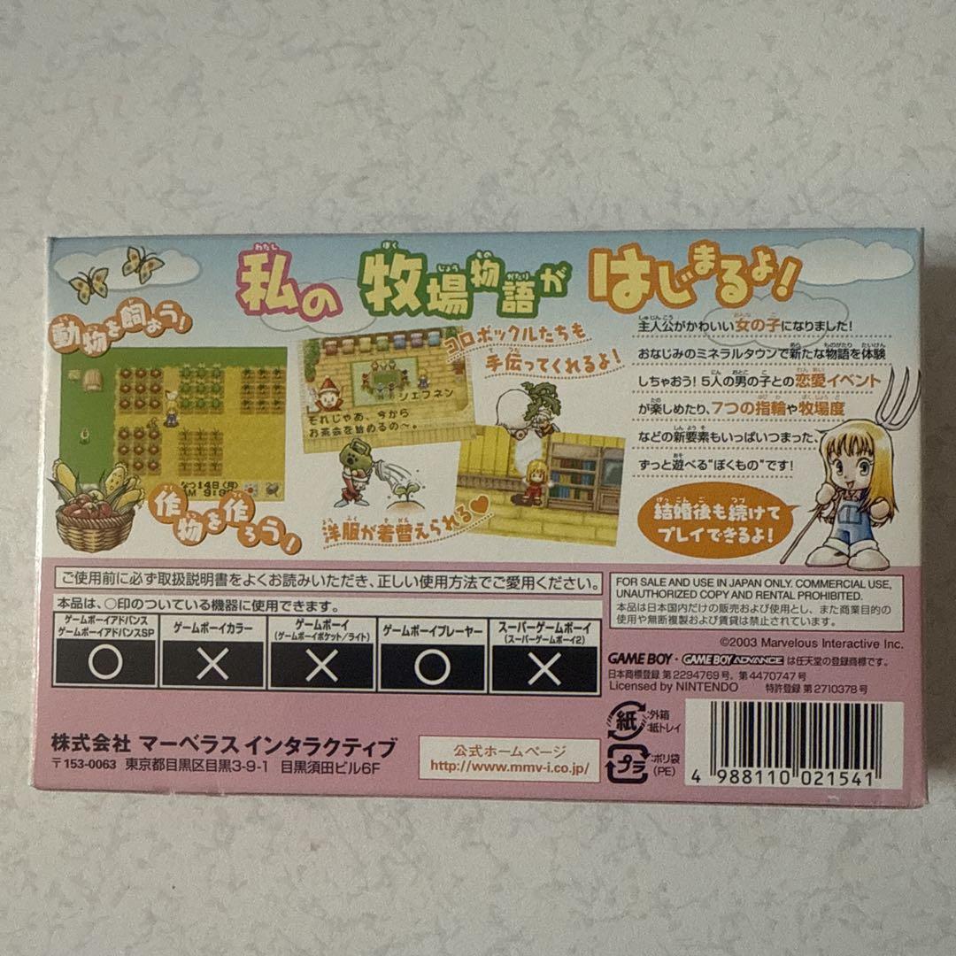 Harvest Story Mineral Town and Its People