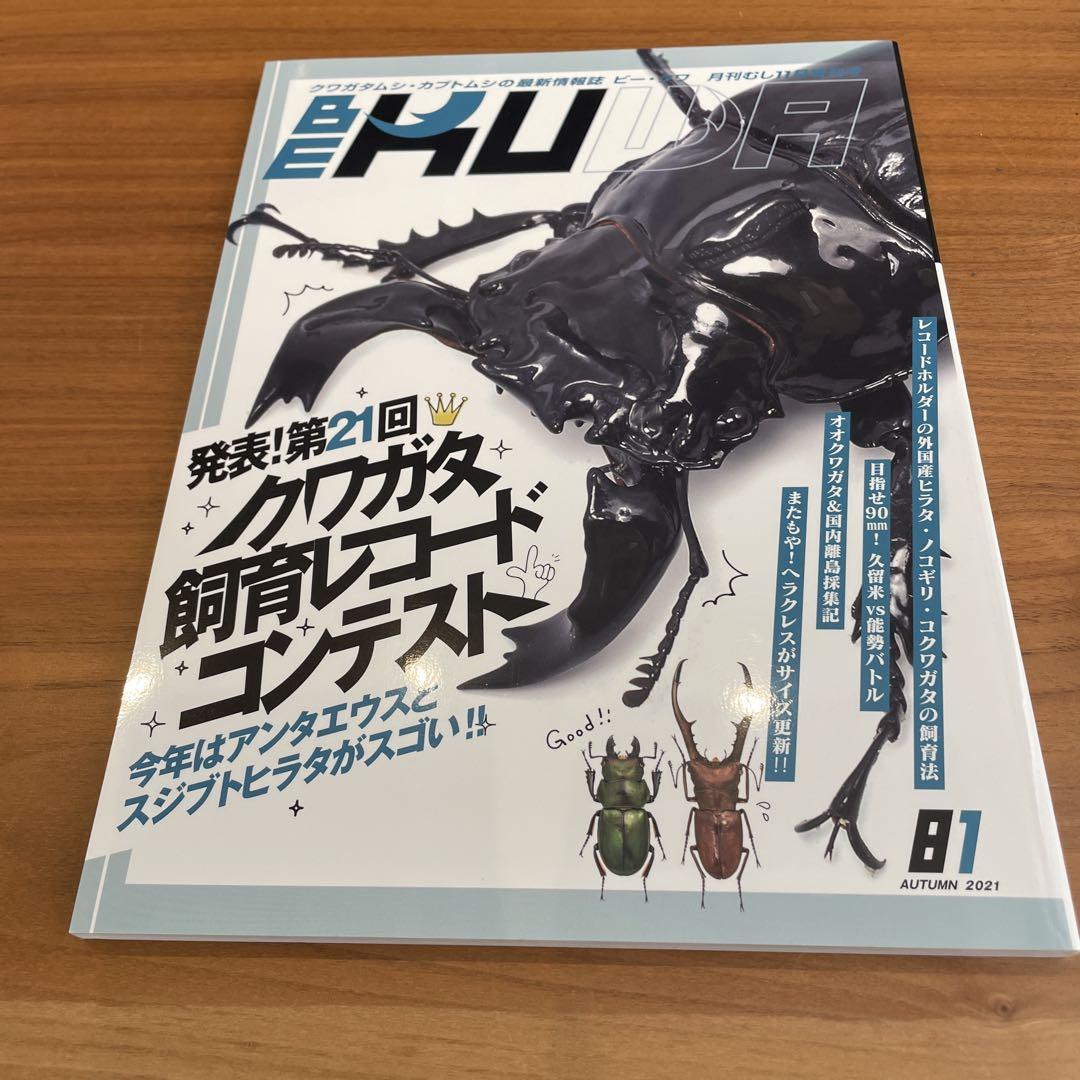 BE-KUWA 4-Book Set, Stag Beetle, Kuwagata, Insects