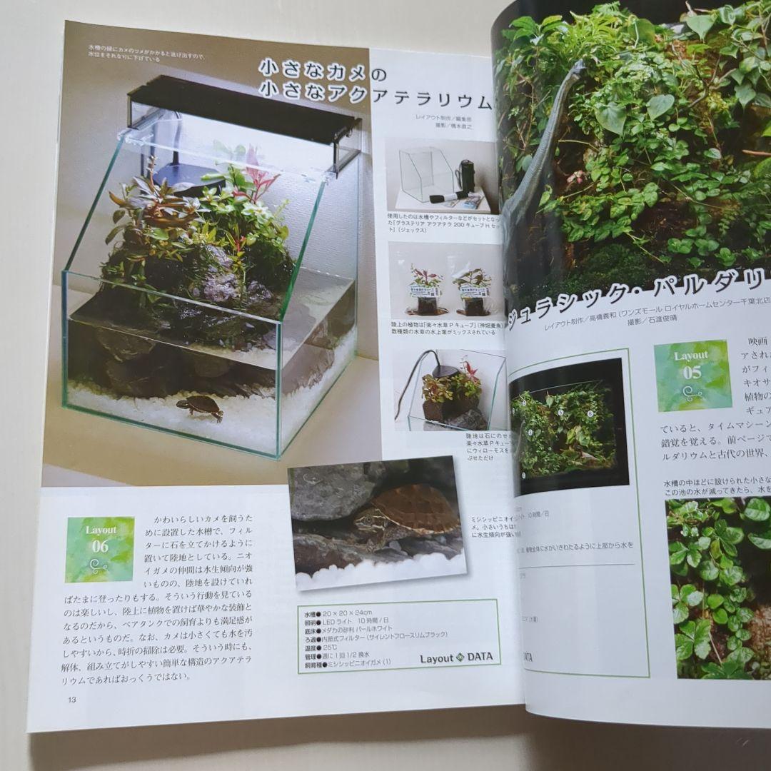 Paludarium and Aquaterrarium No. 1 Aquari Life July 2018