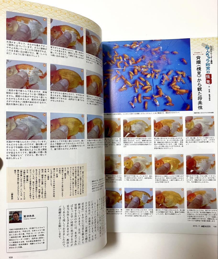 AQUA LIFE Monthly Aqua Life 2015 No.436