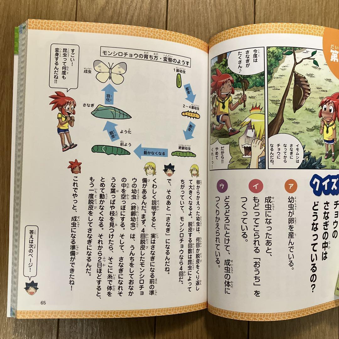 5-Minute Survival for 3rd Graders