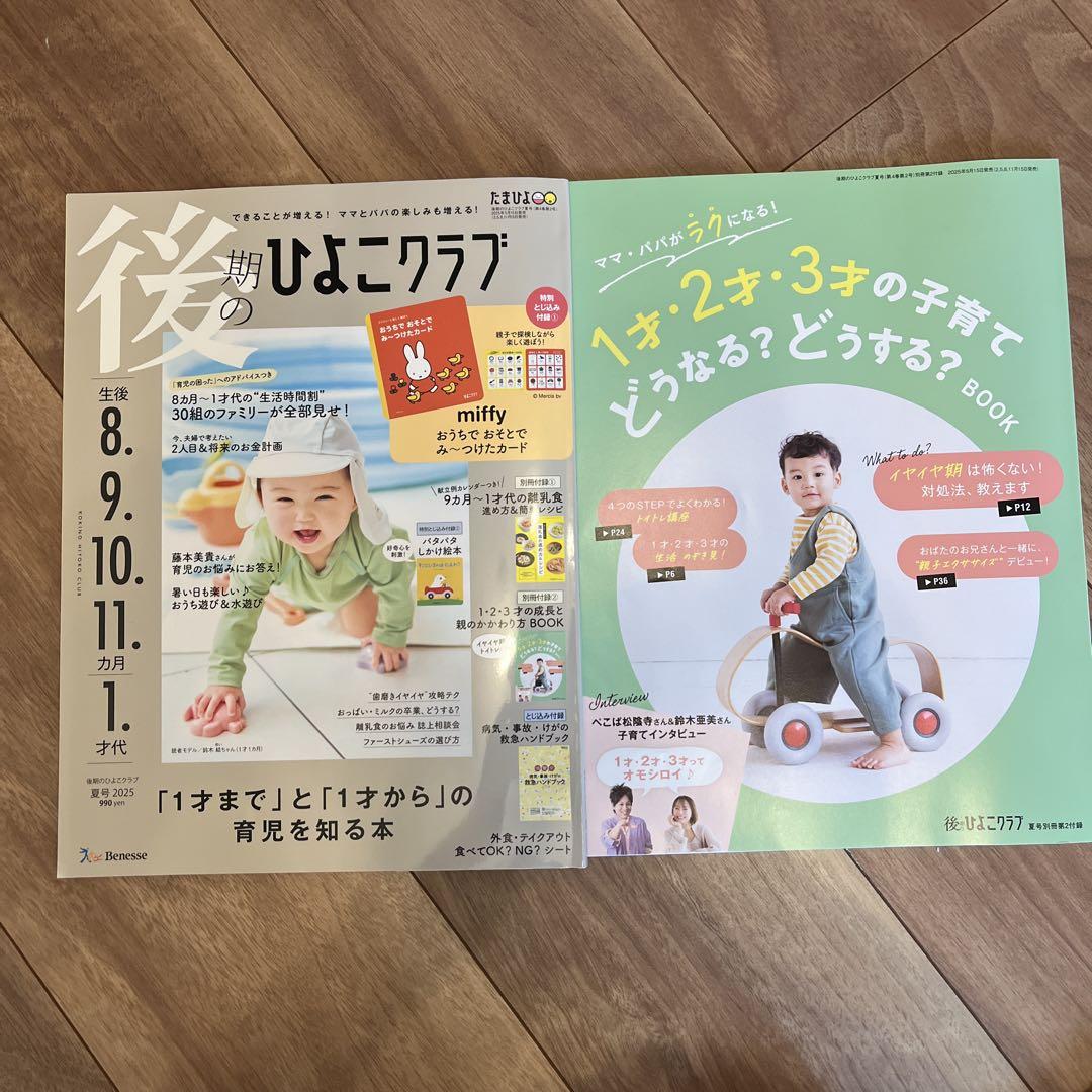 Late Chick Club 2025 Summer Issue