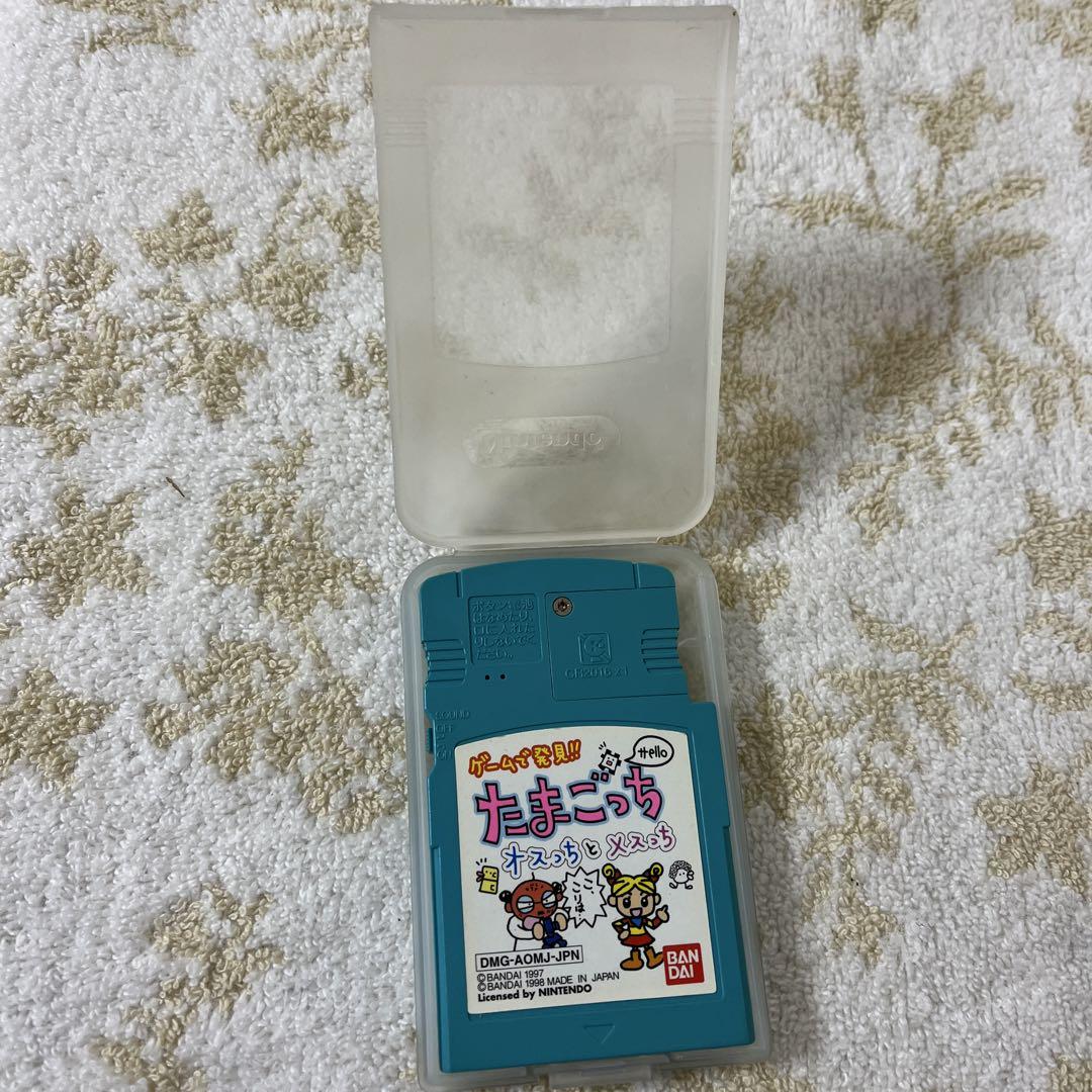 Tamagotchi Game Software