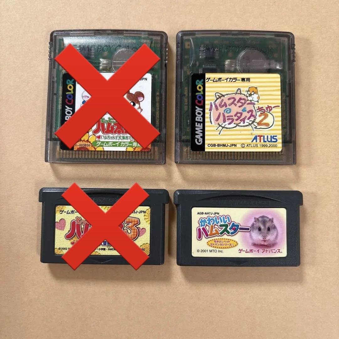 Action Confirmed Hamster Game Software Bundle