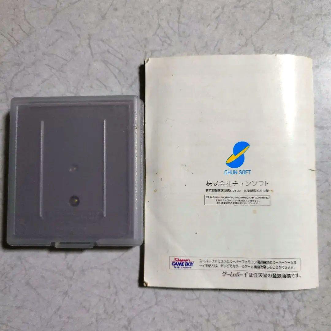 Wind Waker GBA Game Software and Manual Set