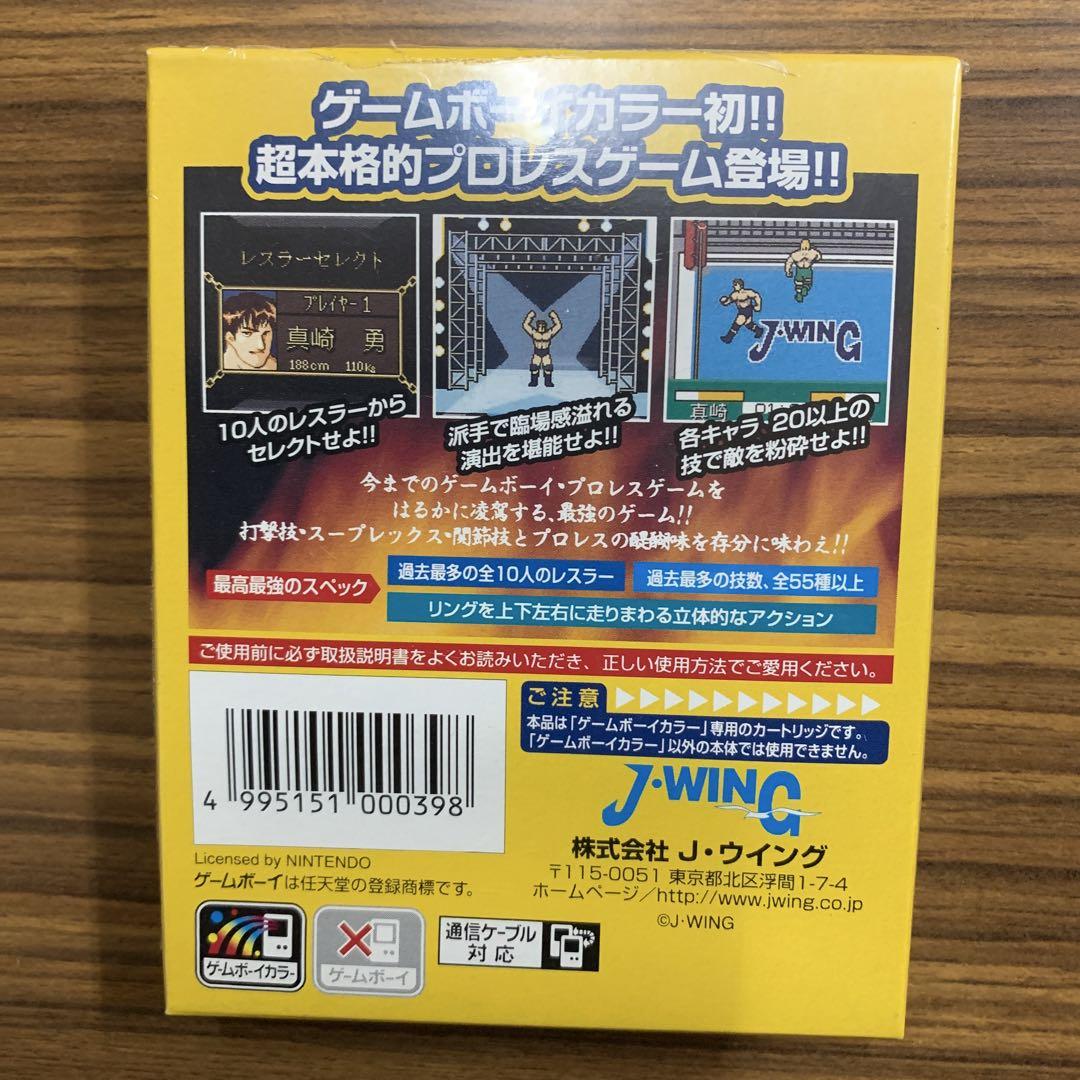 Pocket Pro Wrestling Perfect Wrestler