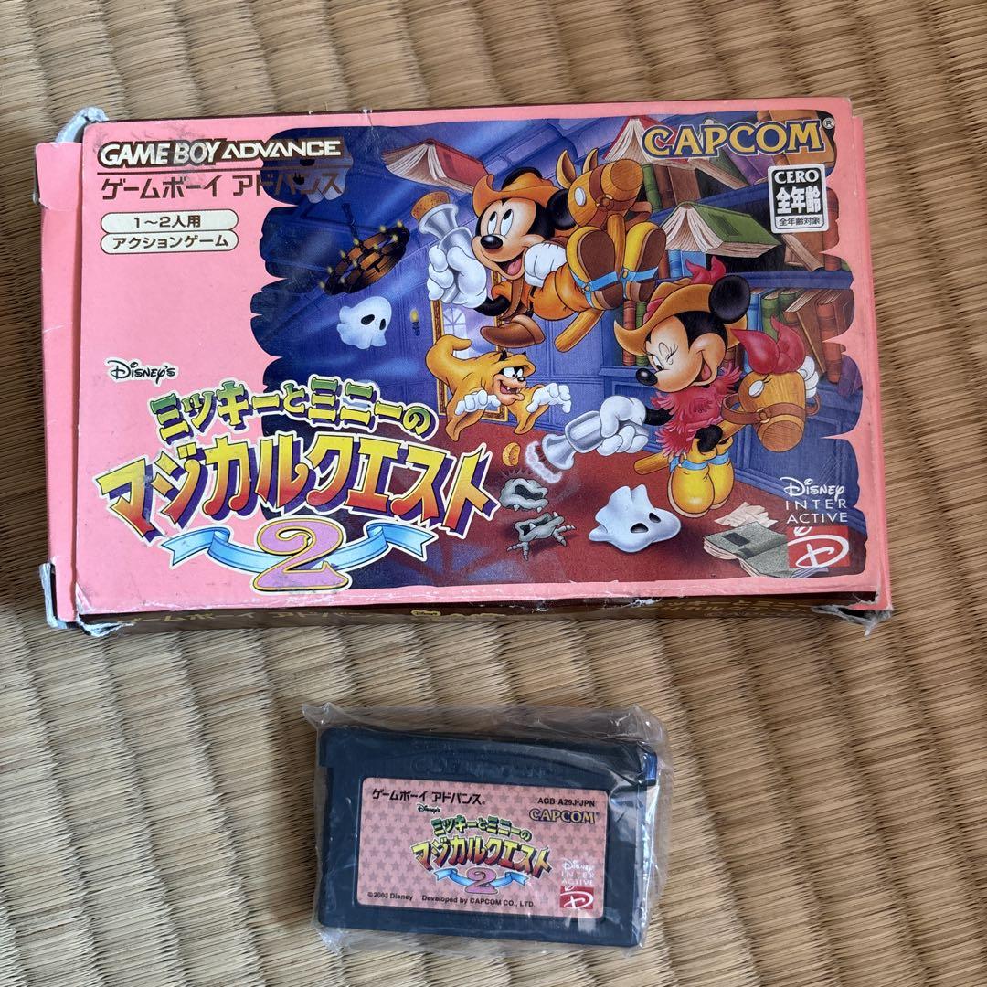 Mickey and Minnie's Magical Quest 2