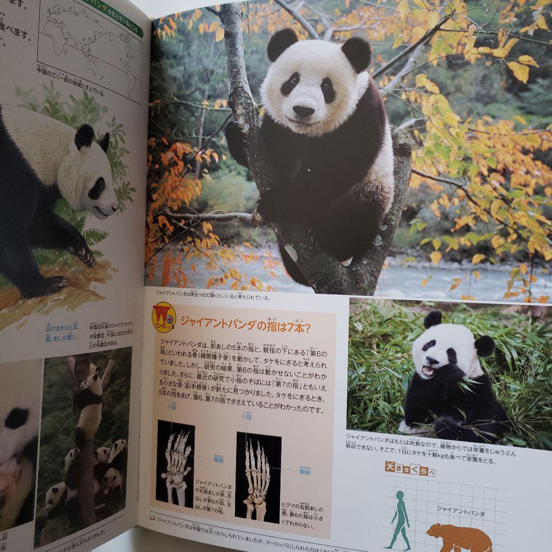 Animal Big Encyclopedia Big Full Color Book