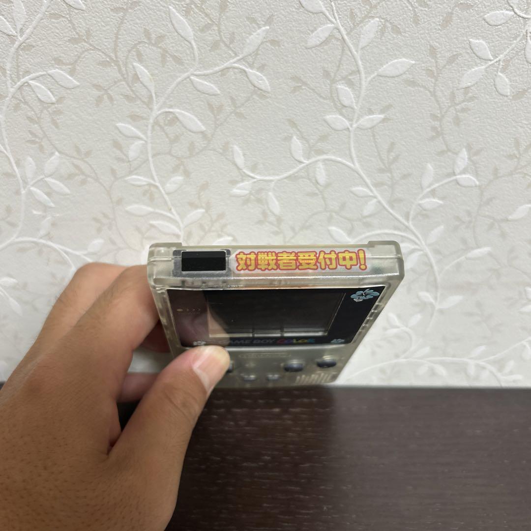 Game Boy Color Hibiscus Decoration
