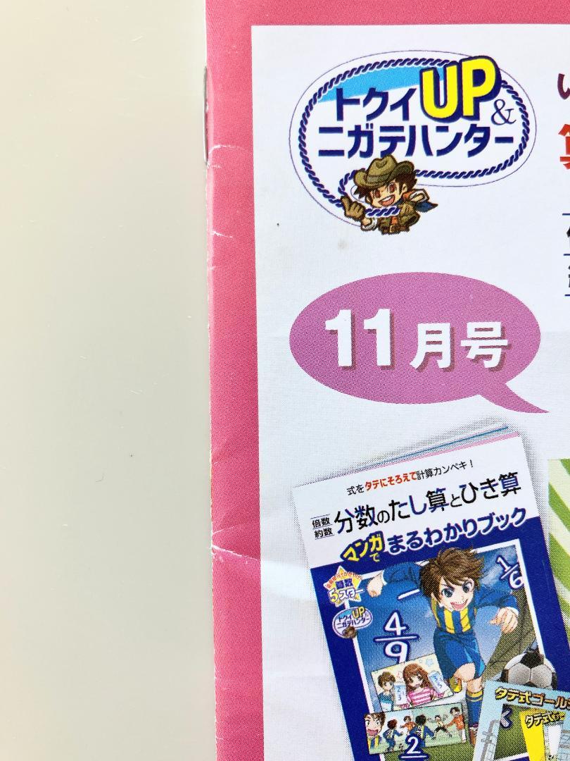 Benesse Junior High School Entrance Exam Prep Course 5th Grade 2023 Supplement - Anonymous Delivery