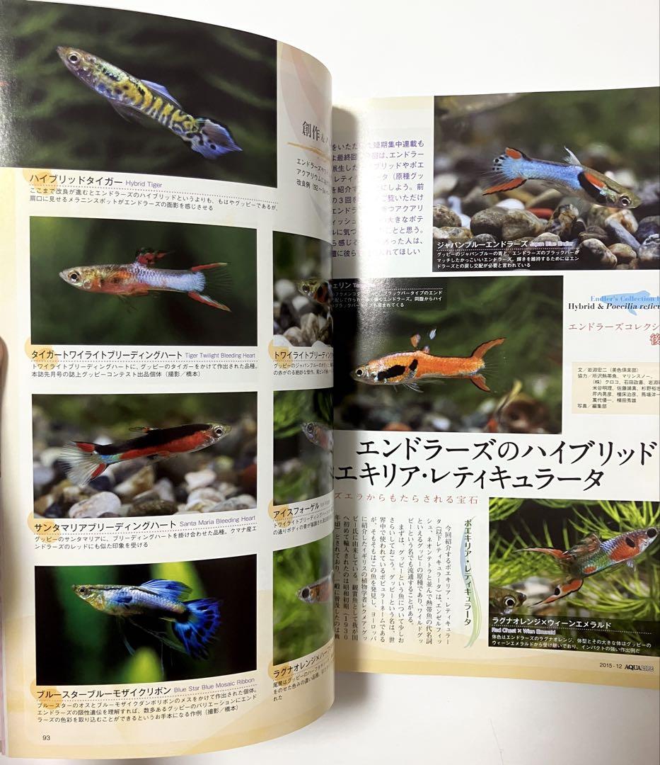 AQUA LIFE Monthly Aqua Life 2015 December Issue No.437