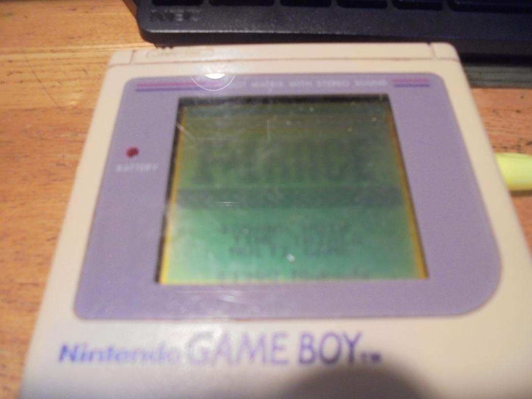 First Generation Nintendo Boy Body, Box, Manual, 12 Games, All Functioning