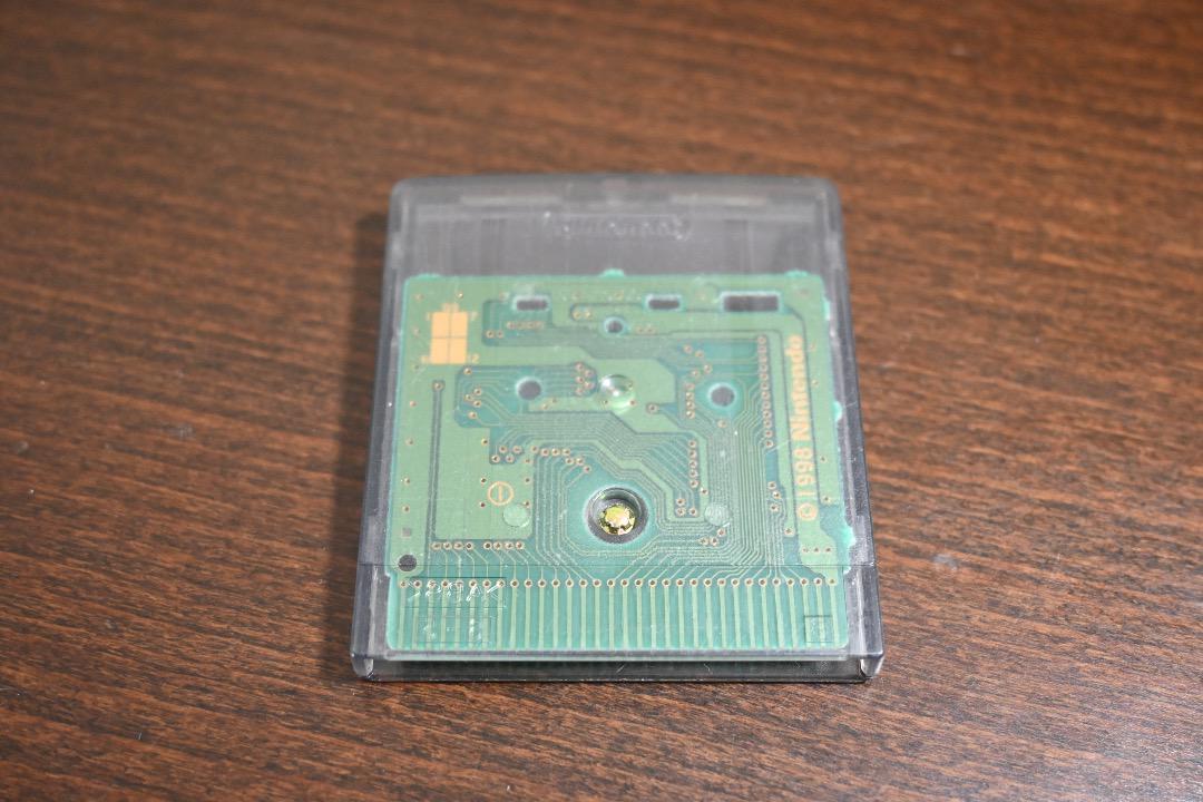 FLIPPER Game Boy Game Case Included