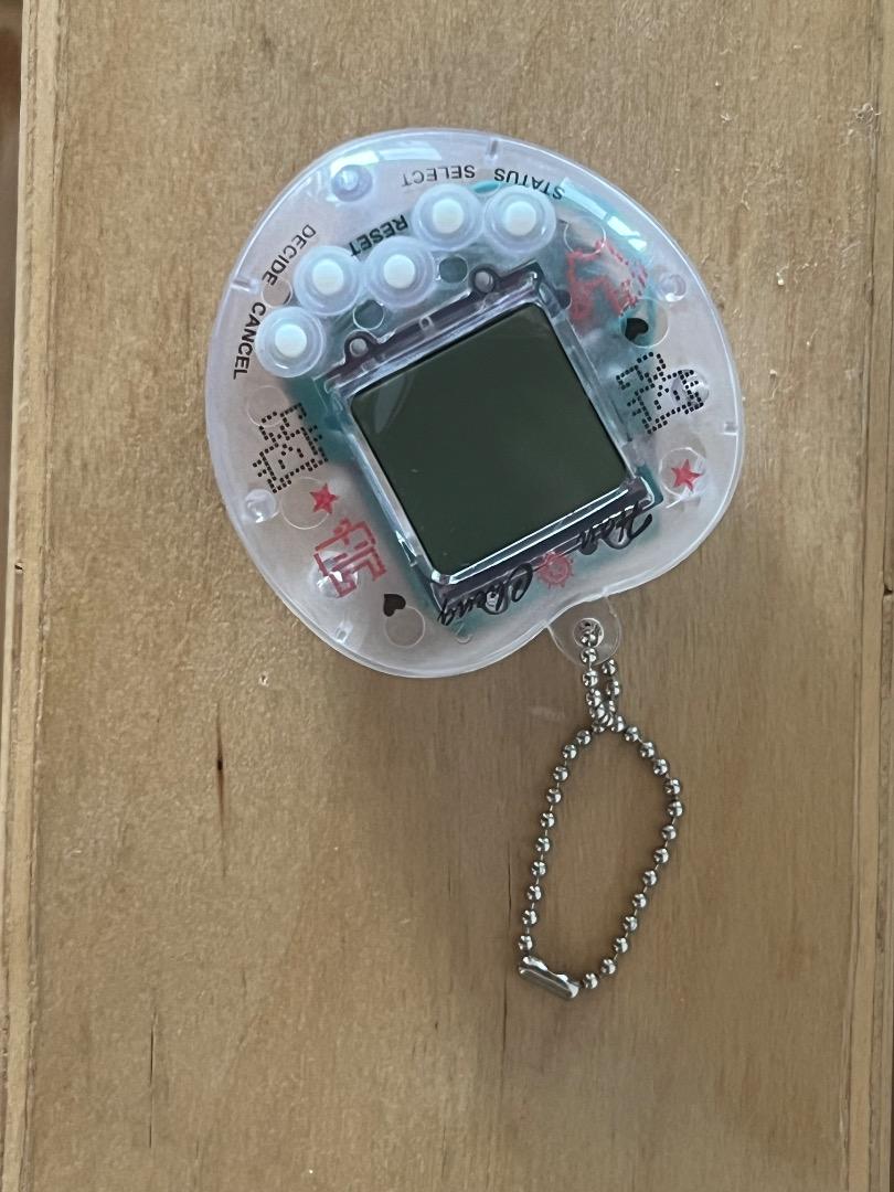 Clear Digital Pet with Ball Chain