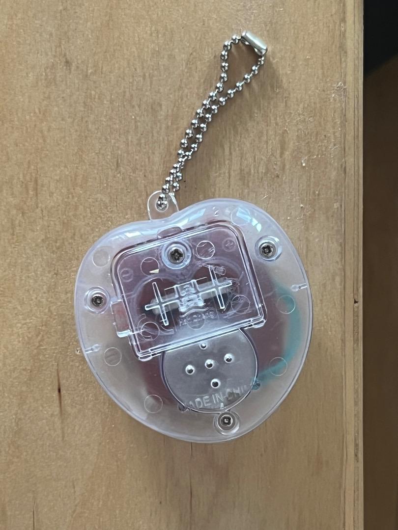 Clear Digital Pet with Ball Chain