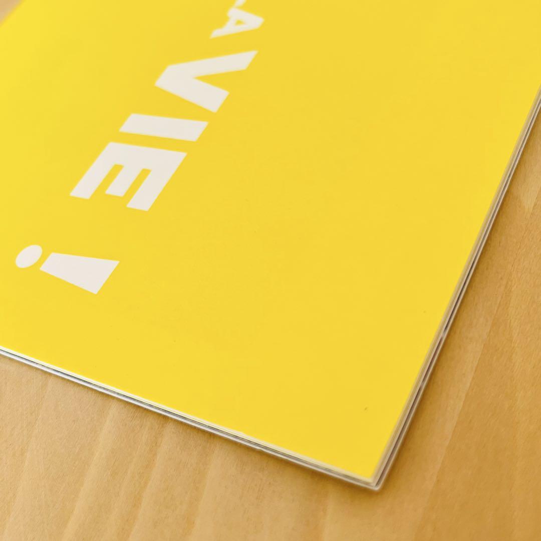 C'est la vie! / Pamphlet