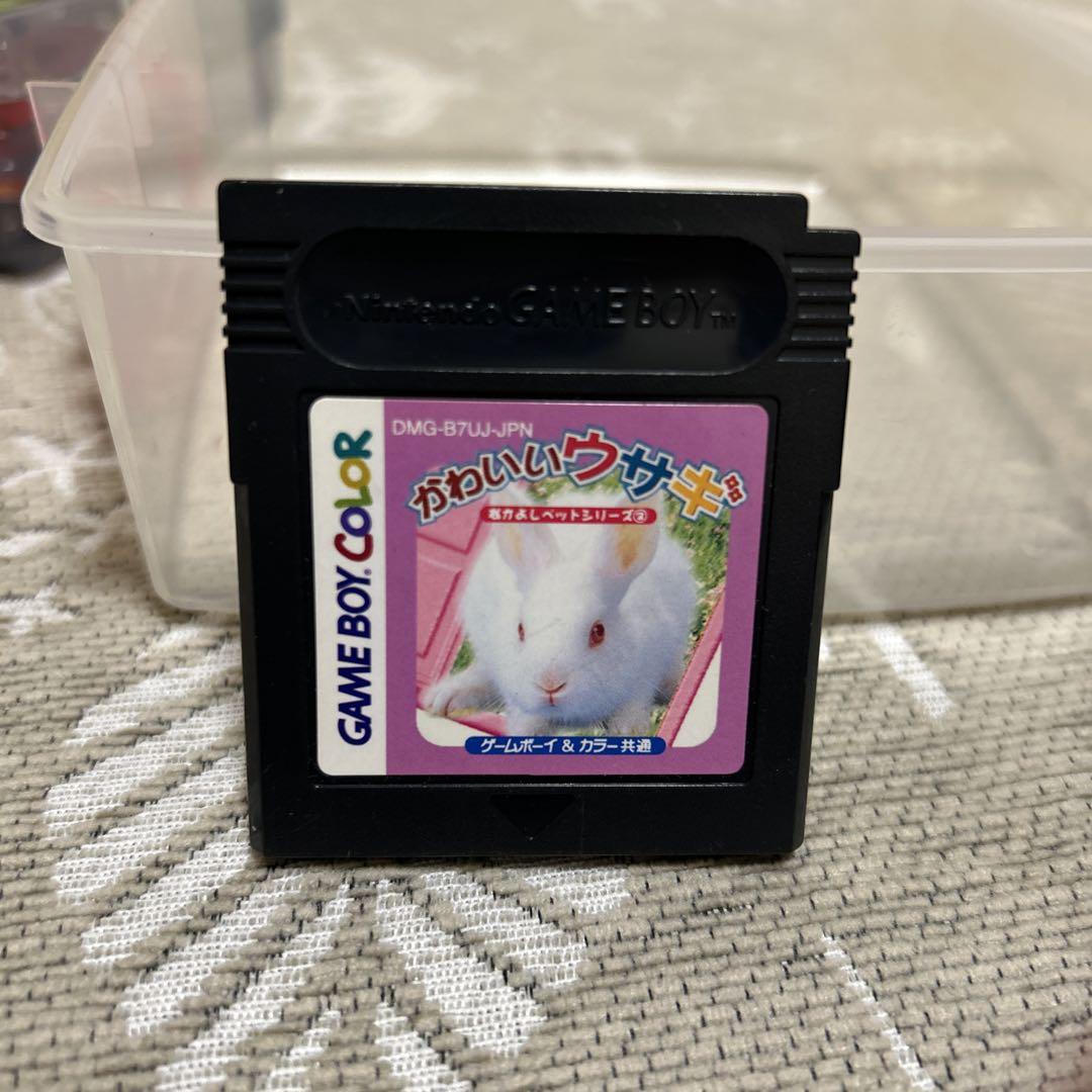 Adorable Rabbit Game Boy Color