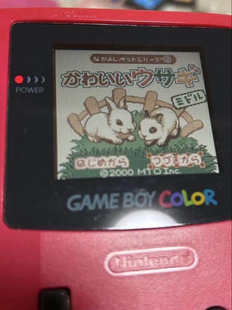 Adorable Rabbit Game Boy Color