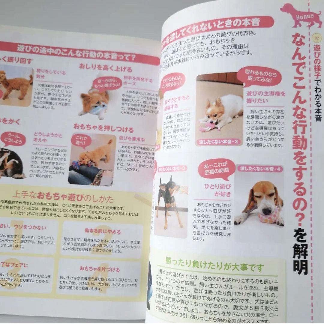 A Book That Reveals a Dog's True Feelings! Revised Edition