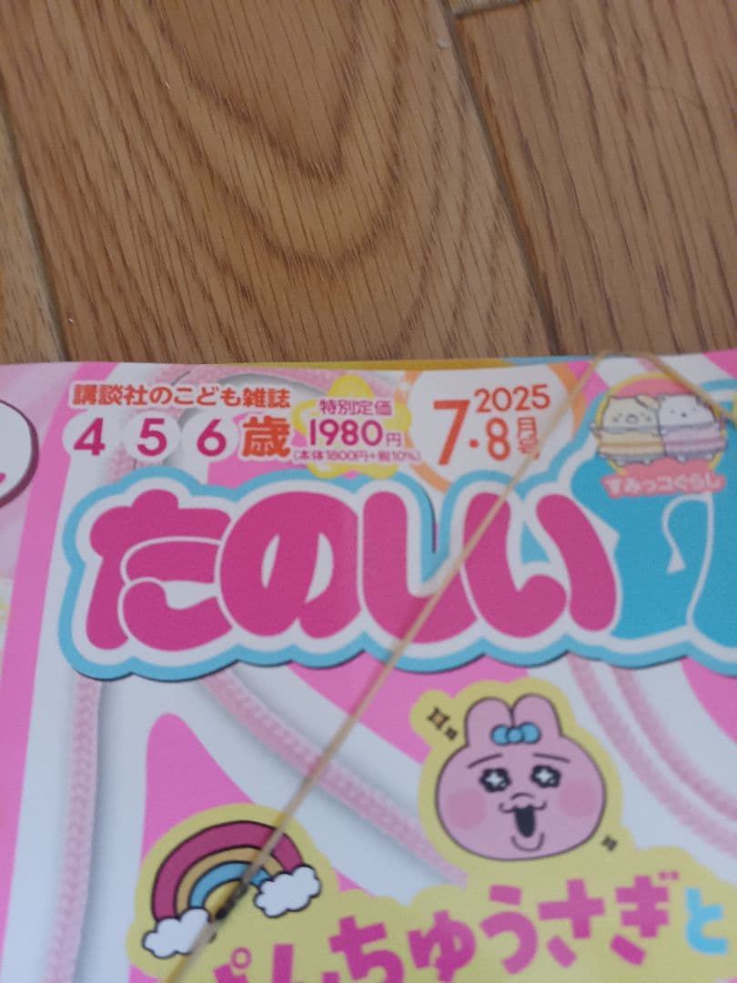 New Unopened Fun Preschool 2023 July-August Issue Cute Rabbit Pouch