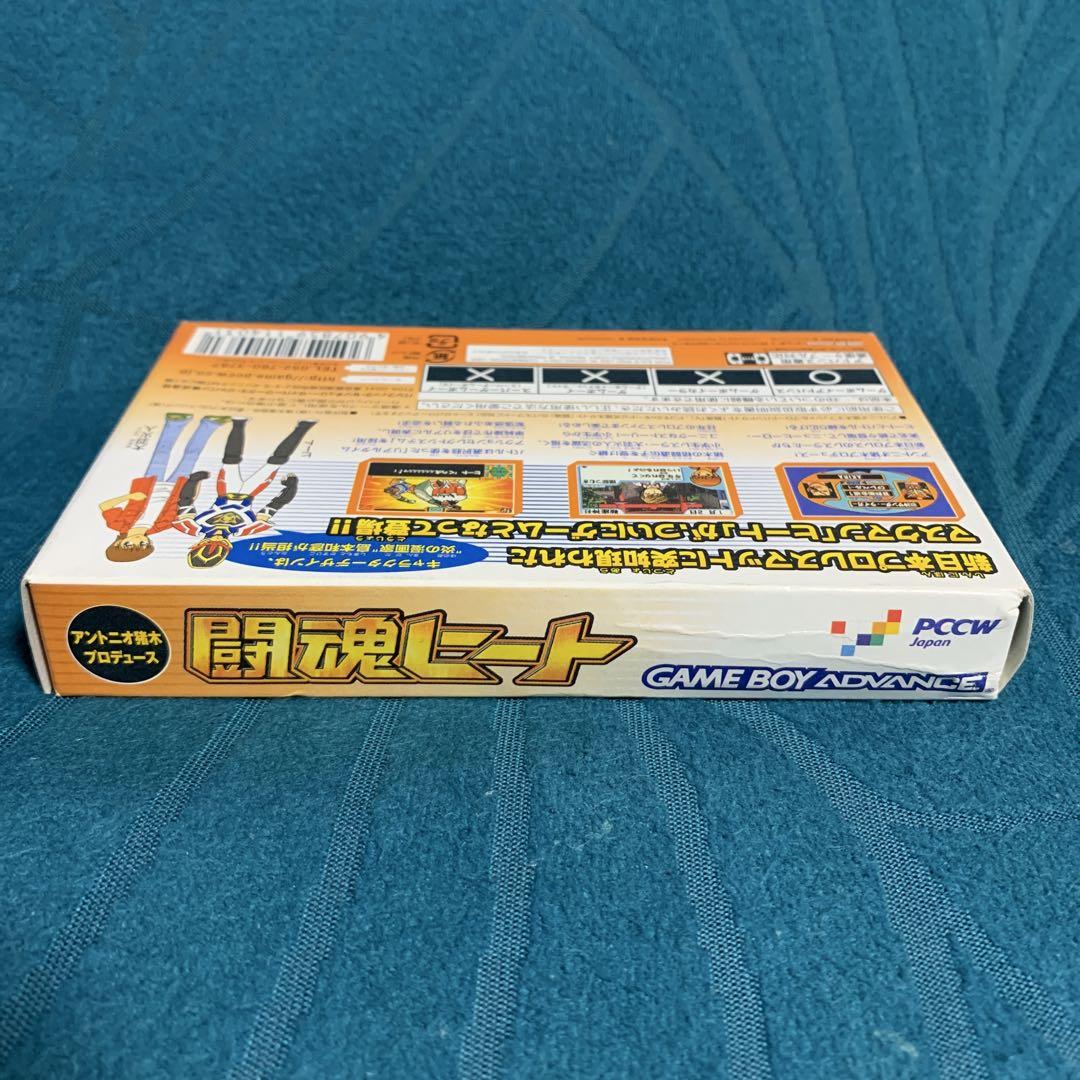 Spirit of Fighting Heat