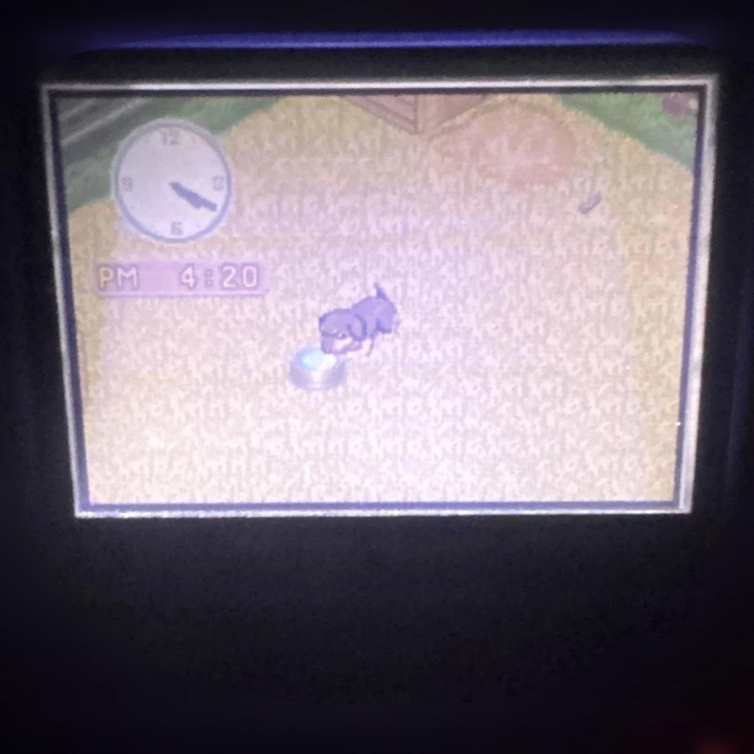 Kawaii Koinu (Cute Puppy) Game Boy Advance Software