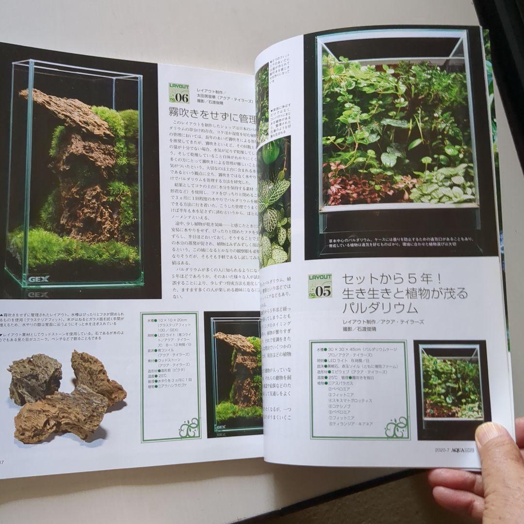 Pardalium and Aquaterrarium No. 3 Aqualife July 2020