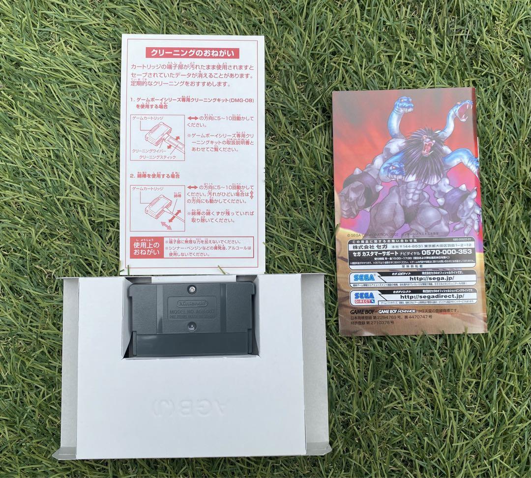 SHINIGSOUL(SHINY SOUL)