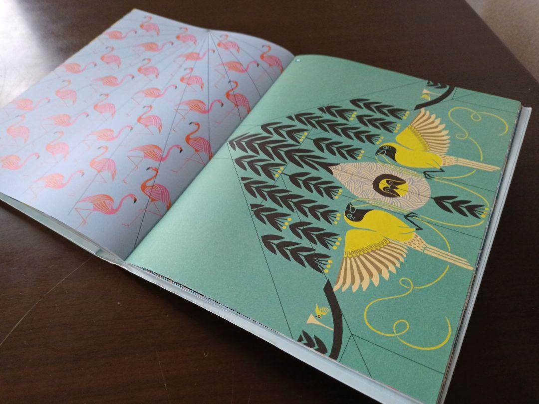 100 Birds to Fold & Fly Paper Airplanes