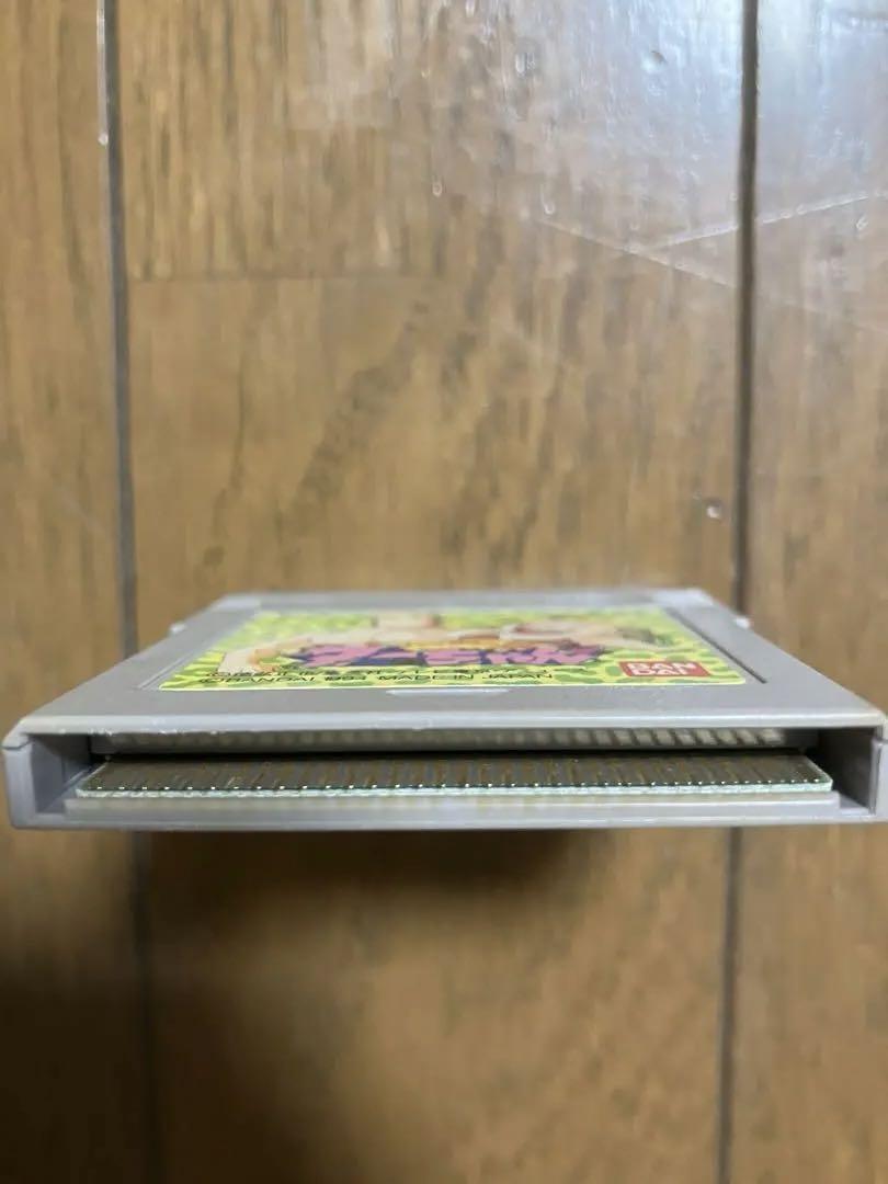 The King of the Jungle Tar-chan