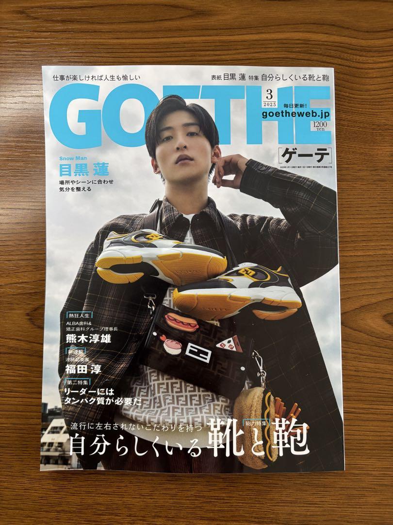 New Unread GOETHE March Issue Mochigome Ren