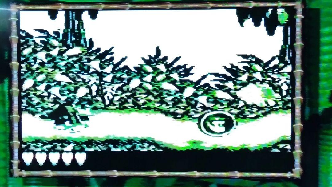 Anonymous Shipping Super Donkey Kong GB Game Boy Software