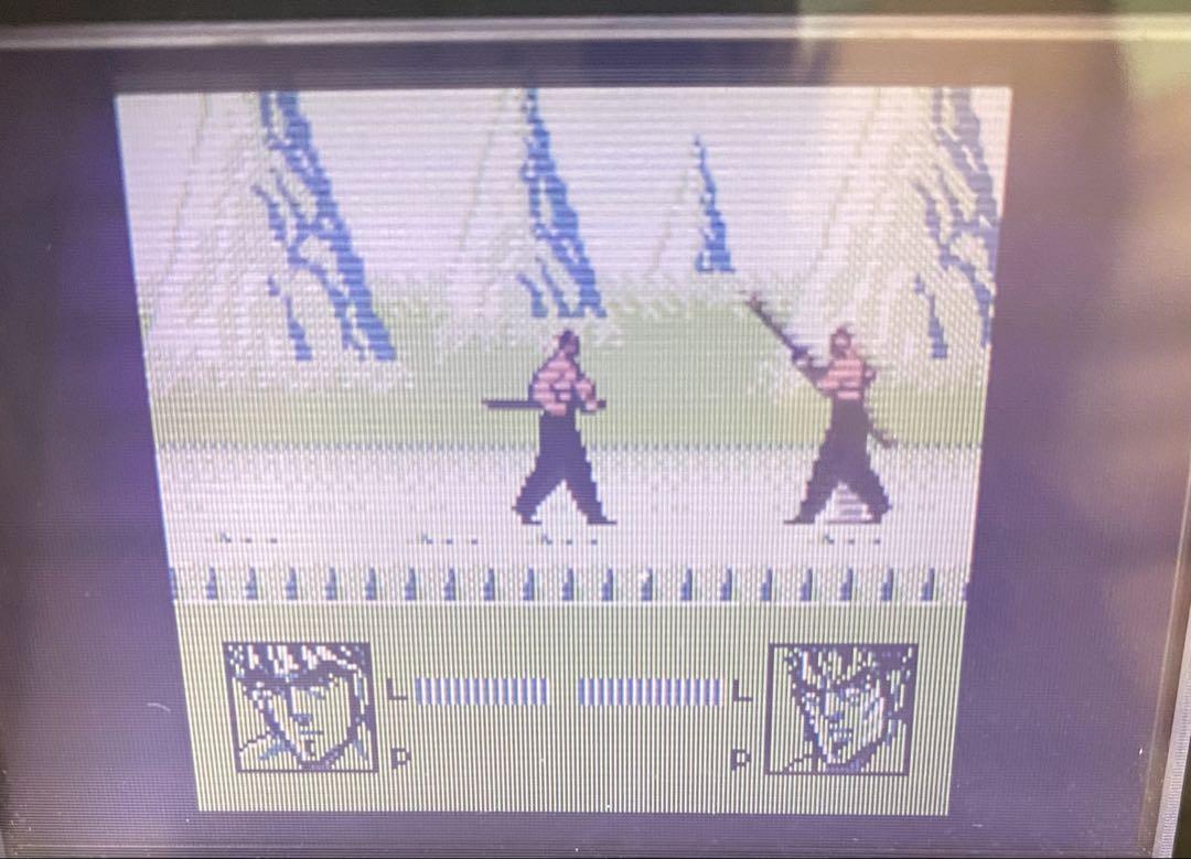 Juujou!! Seikun Hellou Island Decisive Battle Game Boy