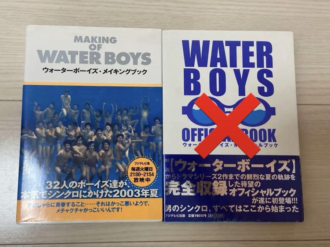 Miyazawa Miwa Magazine and Photo Album Set