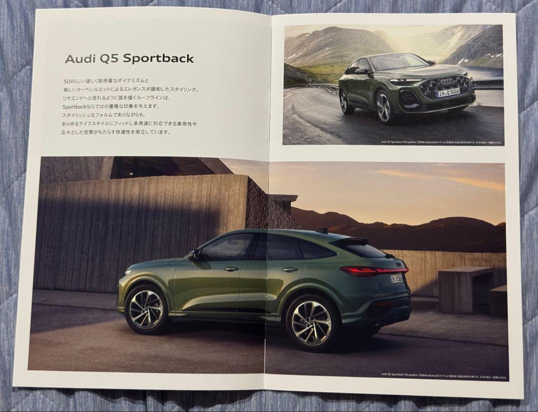 RX Styles & Selections, Audi Q5 Catalog