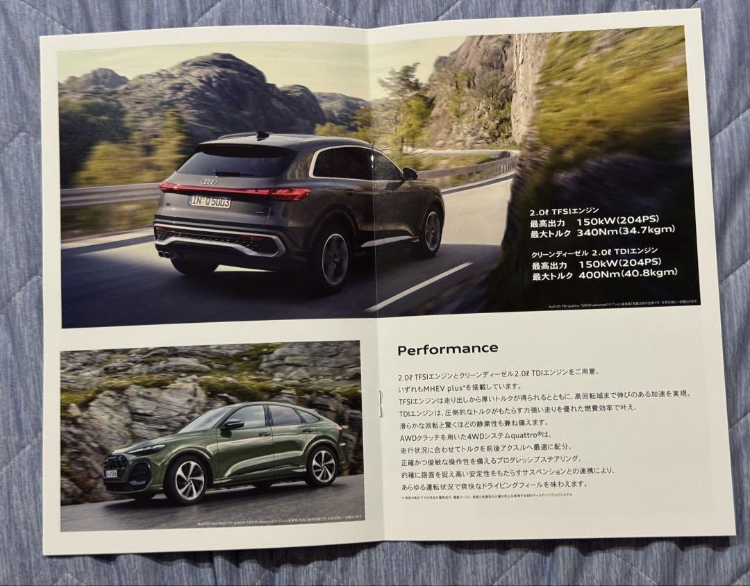 RX Styles & Selections, Audi Q5 Catalog