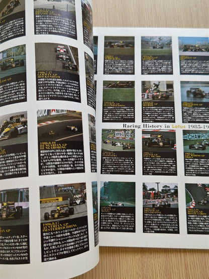 Thank you AYRTON, Good bye SENNA