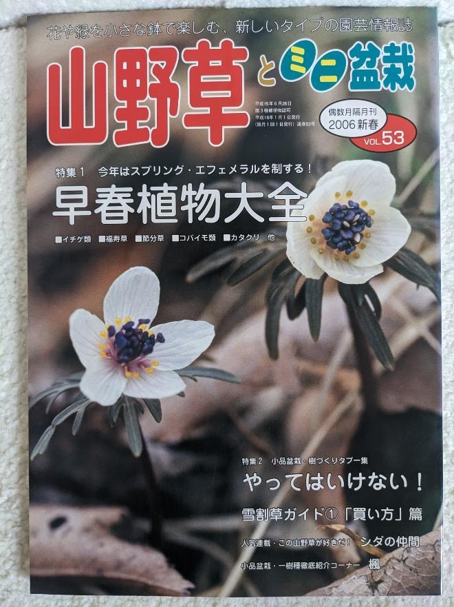 Wild Grasses and Miniature Potted Plants New Year's Issue 2006