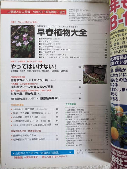 Wild Grasses and Miniature Potted Plants New Year's Issue 2006