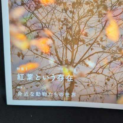 CANON PHOTO CIRCLE September and October 2024