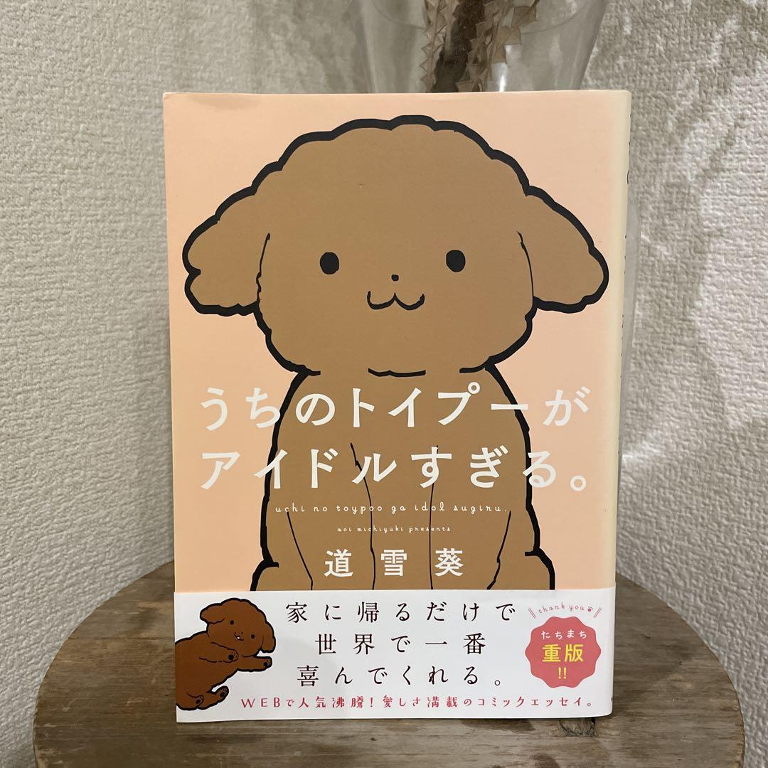 My Toy Poodle is Too Idol-like. Comic Essay