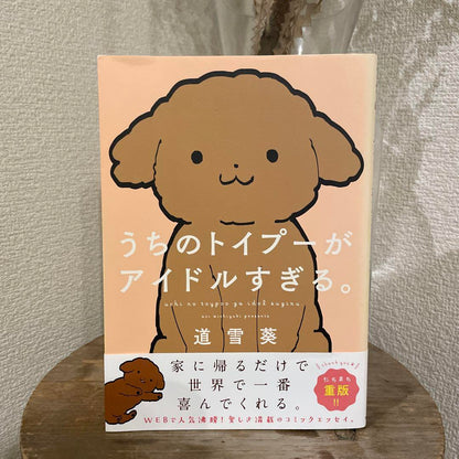 My Toy Poodle is Too Idol-like. Comic Essay