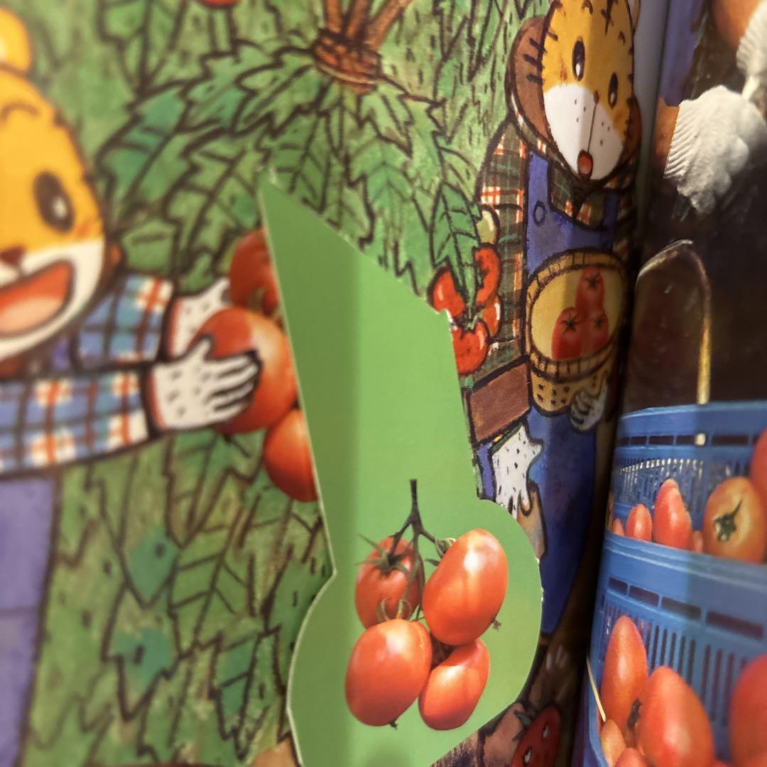 Tsutae Ai Ehon 3 Volumes 2-3 Year Old Pocetto Bessie Kodo Charenji