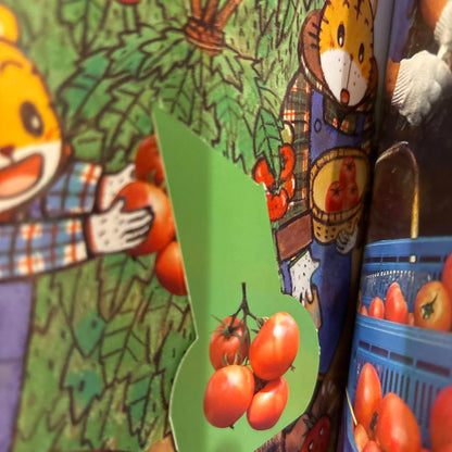 Tsutae Ai Ehon 3 Volumes 2-3 Year Old Pocetto Bessie Kodo Charenji