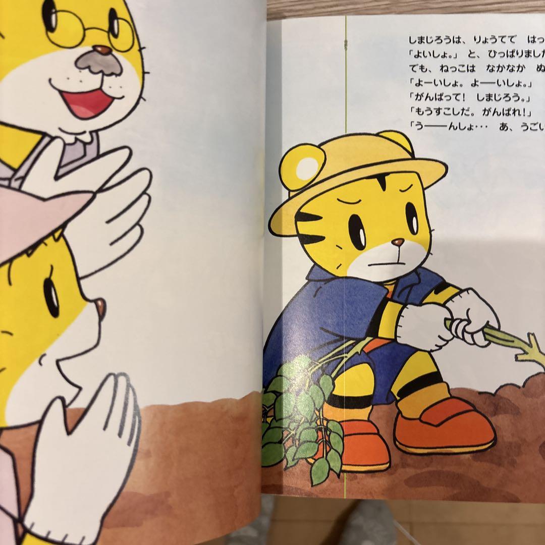 Tsutae Ai Ehon 3 Volumes 2-3 Year Old Pocetto Bessie Kodo Charenji